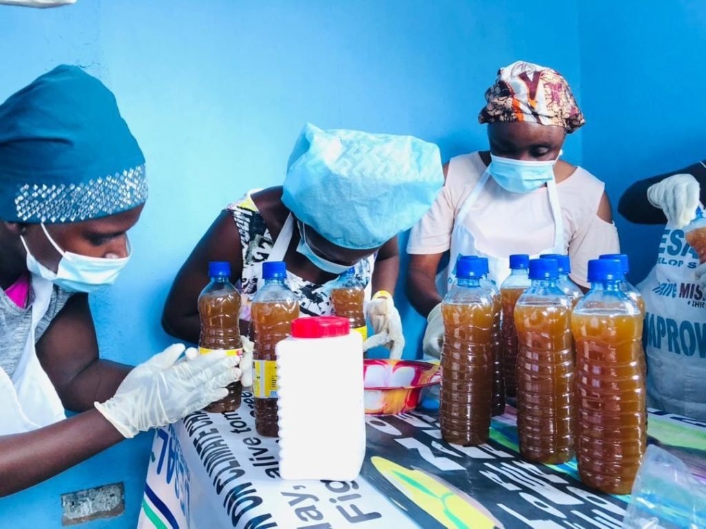 Develop Salone-DESAl Empower Karene Women through Beekeeping Initiative