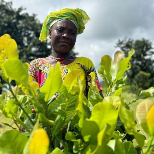 AGRICULTURE 2 AGRICULTURE 2